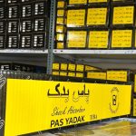 کمک فنر جلو سمت چپ کوییک و اطلس برند پاس یدک (6 ماه ضمانت)